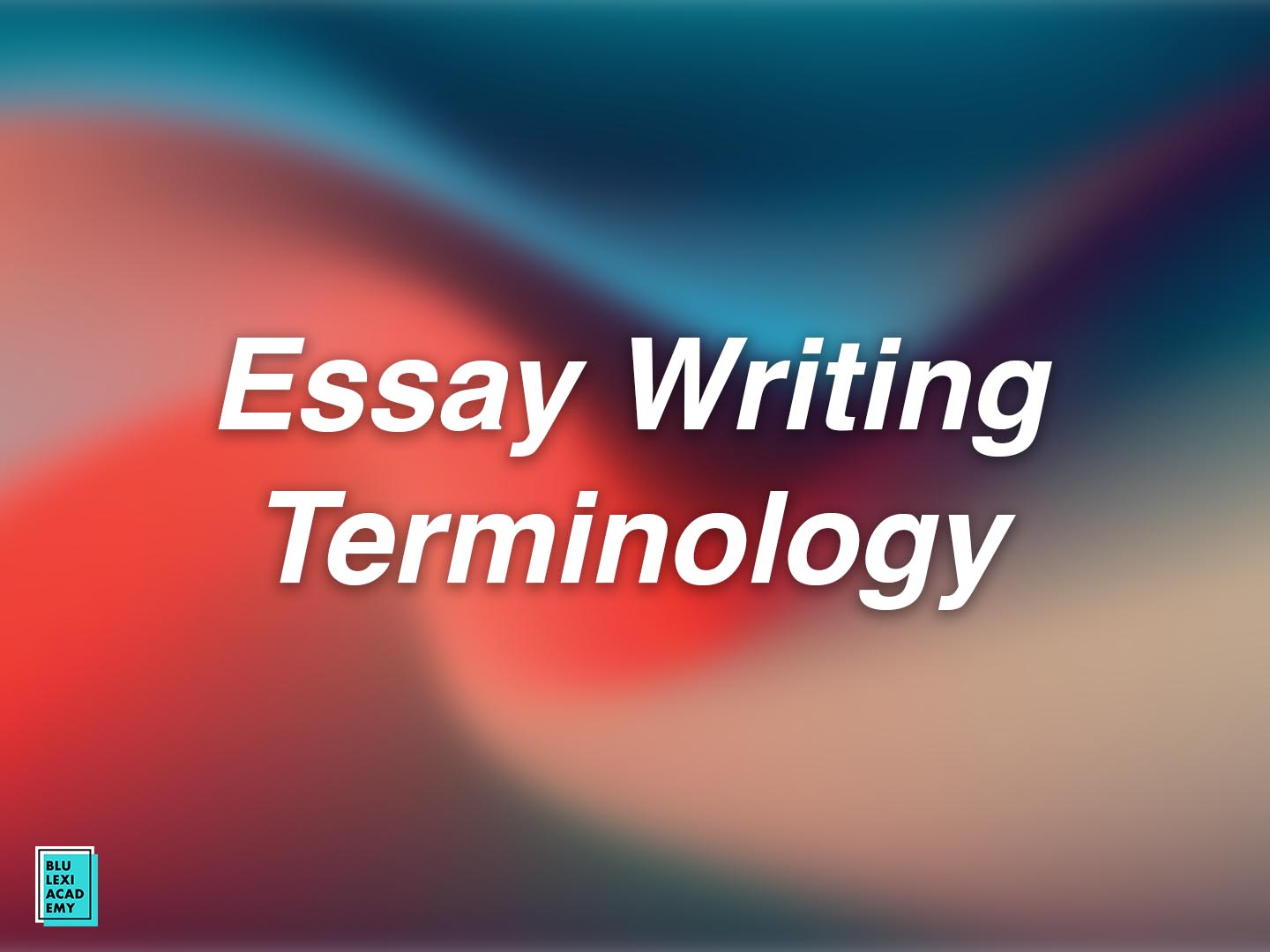 Essay writing terminology